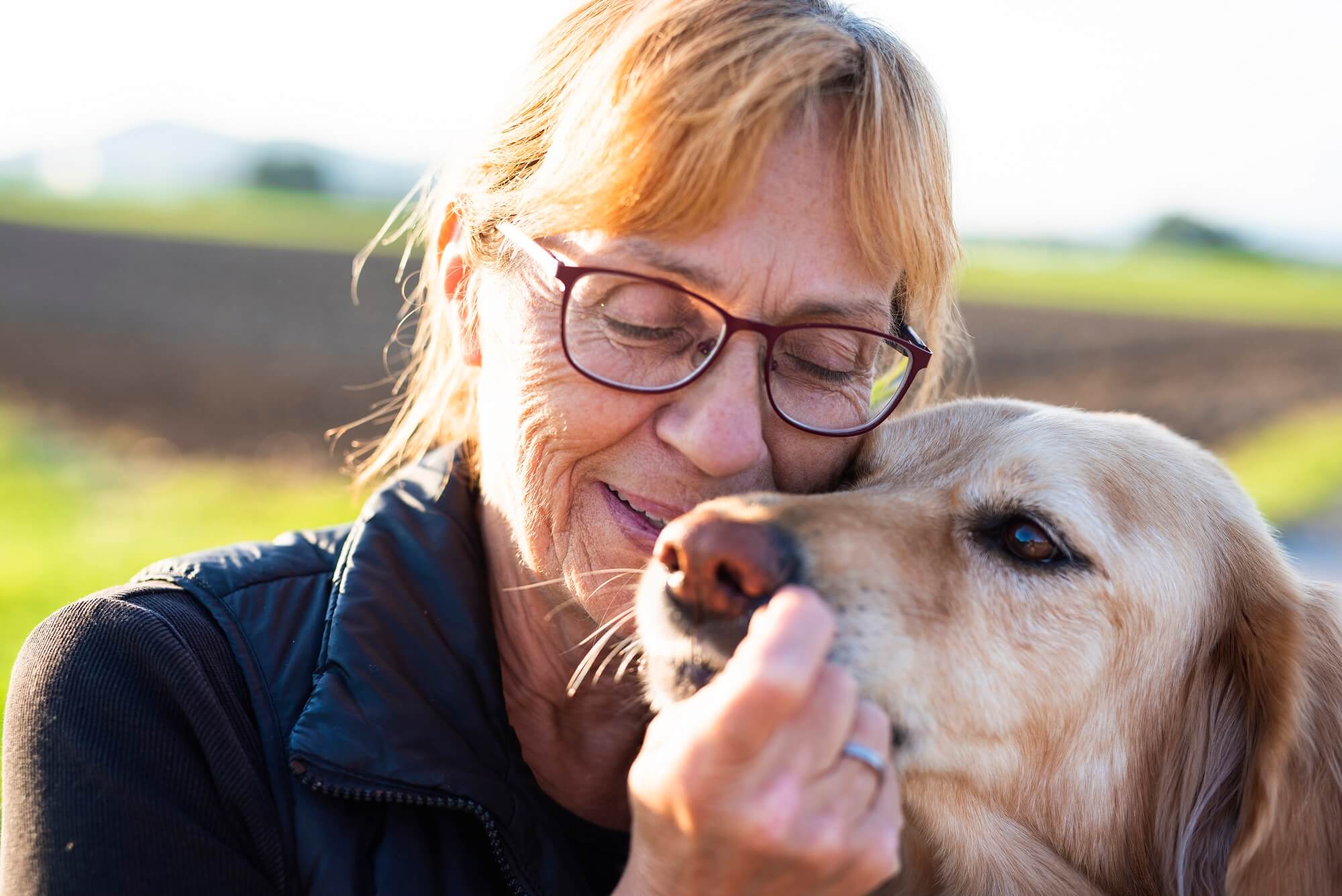 blog-Mutuelle-Just-bien-etre_chien_senior blog-Mutuelle-Just-bien-etre_chien_senior