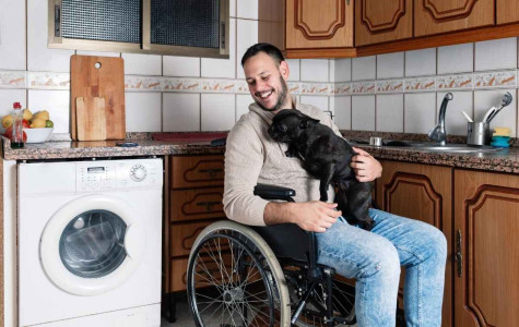 blog-Mutuelle-Just-mutuelle_ALD_fauteuil_homme_chien