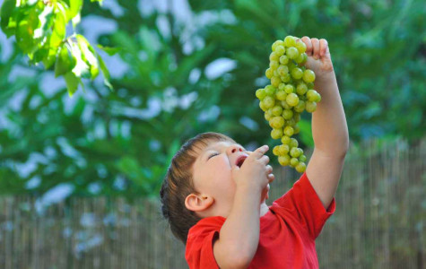 Mutuelle-Just-blog-santé-5-bonnes-raisons-de-manger-du-raisin (1)