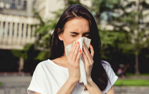 blog-Mutuelle-Just-est-ce-une-allergie