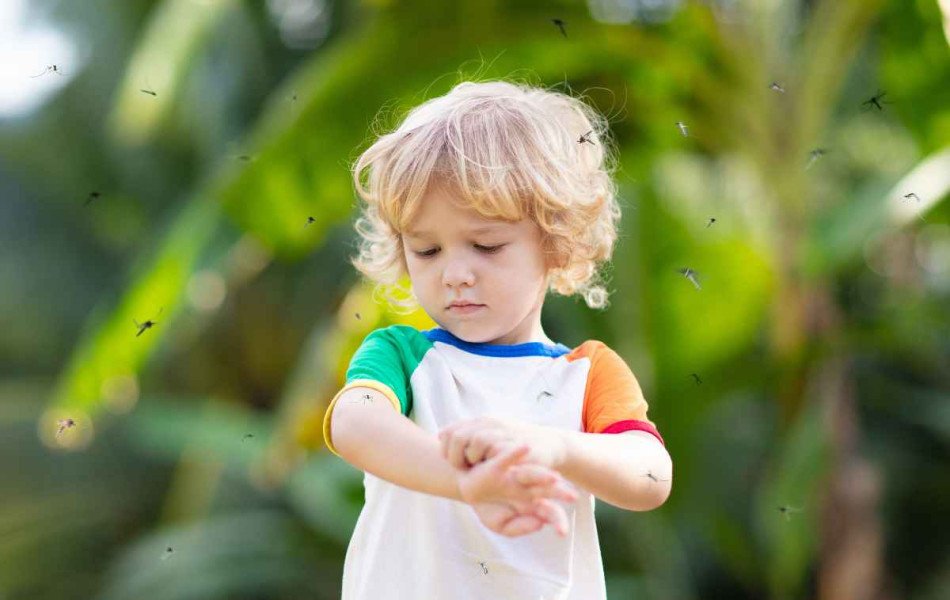 blog-Mutuelle-Just-sante_insectes-enfant-moustiques